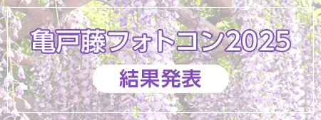 亀戸藤フォトコン2025 結果発表