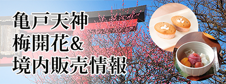 飲むくず餅乳酸菌 優しい解決